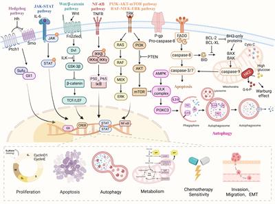 A nanoscale natural drug delivery system for targeted drug delivery against ovarian cancer: action mechanism, application enlightenment and future potential